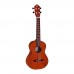 Ortega RU5MM-TE Tenor Ukulele (Natural)