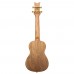 Ortega RUAR-BI Art Series Concert Ukulele (Birds)