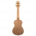 Ortega RUAR-EY Art Series  Concert Ukulele  (Egypt Custom)