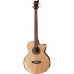 Ortega STRIPEDSU.ACB Private Room Series Akustik Bas Gitar (Natural)