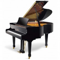 Pearl River GP160 Akustik Kuyruklu Piyano (Parlak Siyah)