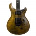 Prs Dustie Waring Signature Limited Edition Floyd Rose Elektro Gitar (Satin jade Green)