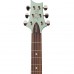 PRS S2 Standard 22 Elektro Gitar (Frost Green Metallic)