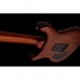 PRS SE Custom 24 Elektro Gitar (Zebrawood)