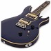 PRS SE Standard 24 Elektro Gitar(Translucent Blue)