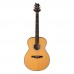 PRS SE Tonare TE50E Elektro Akustik Gitar (Natural)