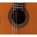 Raimundo 129 Cocobolo Cedar Klasik Gitar