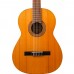 Raimundo Estudio Serisi Model 104B Klasik Gitar