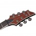 Schecter Banshee Elite-6 Elektro Gitar (Cat's Eye Pearl)