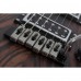 Schecter C-1 Exotic Ebony Elektro Gitar (Natural Satin)