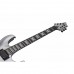 Schecter C 1 Platinum Elektro Gitar (Satin Silver)