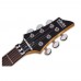 Schecter C-6 FR Deluxe Elektro Gitar (Mat Siyah)