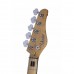 Schecter Diamond-J 5 Plus Bas Gitar (Aged Natural)