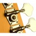 Schecter Diamond-J Bas Gitar (3-Tone Sunburst)