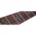 Schecter Hellraiser C-1 Elektro Gitar (Gloss Black)