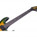 Schecter Hellraiser C-1 FR Passive Elektro Gitar (Dragon Burst)