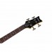 Schecter Raiden Special-4 Bas Gitar (See-Thru Black)