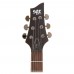 Schecter SGR C-1 Elektro Gitar (Walnut Satin)