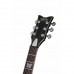 Schecter Solo-II Platinum Elektro Gitar (Satin Black)