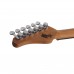Schecter Nick Johnston Traditional H/S/S Elektro Gitar (Atomic Frost)