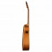 Seagull Enturage Rustic QIT Akustik Gitar (Natural)