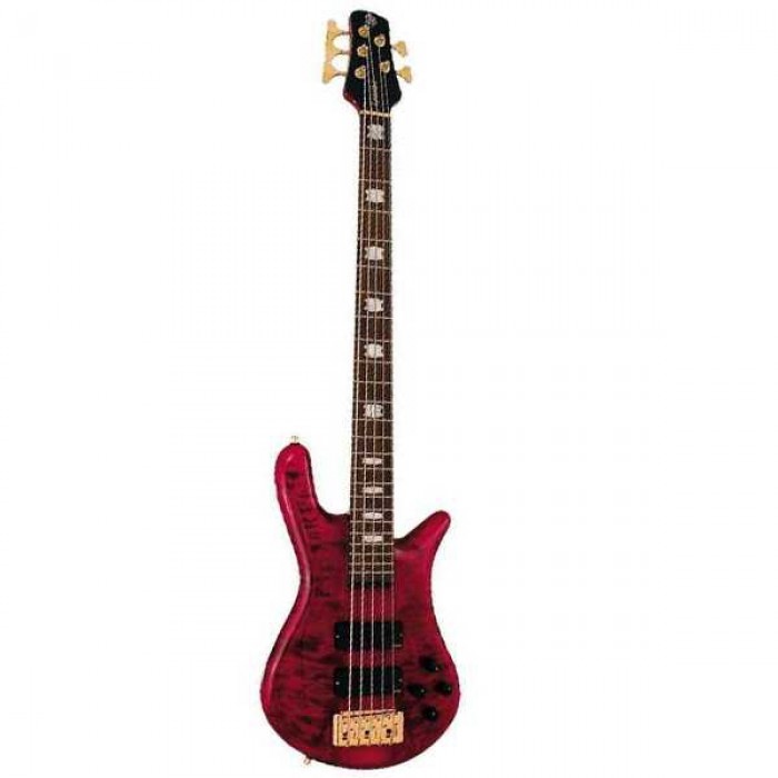 Spector Usa Series Bas Gitar