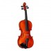 Strunal 175W Keman (4/4)