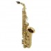 Suzuki MCSA1 Mib Alto Saksafon