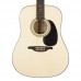 SX SA1-SK-NA Akustik Gitar Seti (Natural)