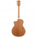 Taylor 214CE DLX Elektro Akustik Gitar