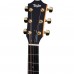Taylor 214CE-SG LTD Elektro Akustik Gitar (Natural)