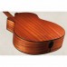 Taylor 356ce 12 Telli Elektro Akustik Gitar (Natural)