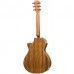 Taylor 412ce V-Class Elektro Akustik Gitar (Natural)