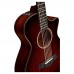 Taylor 562ce 12 Telli Elektro Akustik Gitar (Shaded Edge Burst)
