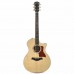 Taylor 614CE Elektro Akustik Gitar (Brown Sugar Stain)