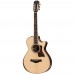 Taylor 812ce DLX Elektro Akustik Gitar (Natural)