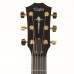 Taylor 814ce Cocobolo LTD Elektro Akustik Gitar (Natural)