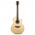 Taylor 814ce Cocobolo LTD Elektro Akustik Gitar (Natural)