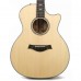 Taylor 814ce Cocobolo LTD Elektro Akustik Gitar (Natural)
