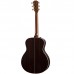 Taylor 816ce Builder's Edition Elektro Akustik Gitar (Natural)