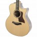 Taylor 816ce Elektro Akustik Gitar (Natural)
