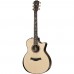 Taylor 914ce V-class Bracing Elektro Akustik Gitar (Natural)