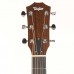 Taylor BBT Walnut Akustik Gitar (Natural)
