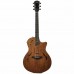 Taylor T5z Classic Elektro Akustik Gitar (Tropical Mahogany​​​​​​​)