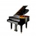 W.Hoffmann Grand Vision V 158 Akustik Kuyruklu Piyano (Siyah)