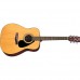 Yamaha F310P Akustik Gitar Seti (Natural)