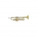 YAMAHA YTR6345G Sib Trompet