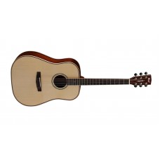 AKUSTİK GİTAR, ÇANTALI, MASİF SİTKA LADİN KAPAK