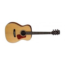 AKUSTİK GİTAR, OM KASA, NATUREL SATIN