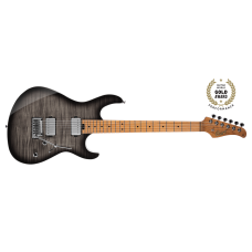 ELEKTRO GİTAR TRANSPARAN SİYAH